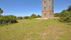 Een stenen toren met een ronde basis en een plat dak, omgeven door een grasveld en bomen.