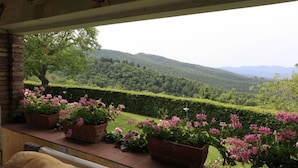 A balcony with potted pink flowers and a view of a lush green landscape with hills in the distance. - Gellino (Arezzo)