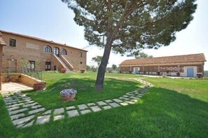Property grounds - Podere Romina (Cortona)