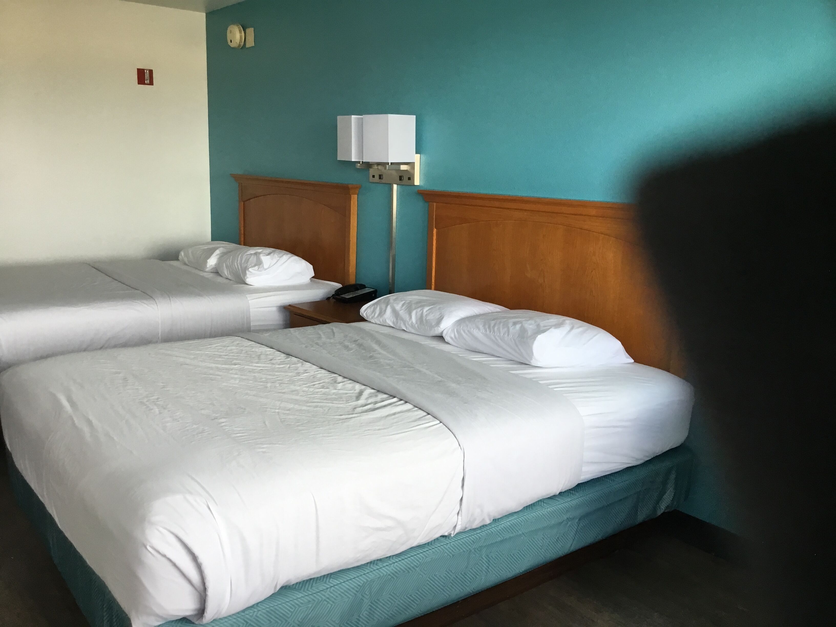 Une chambre d’hôtel avec deux lits simples, une tête de lit en bois, une table de chevet avec une lampe et un petit panneau rouge indiquant la sortie, fixé au mur.