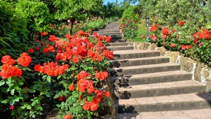 A stone staircase surrounded by lush greenery and red flowers. - Col Di Forche (Monterchi)