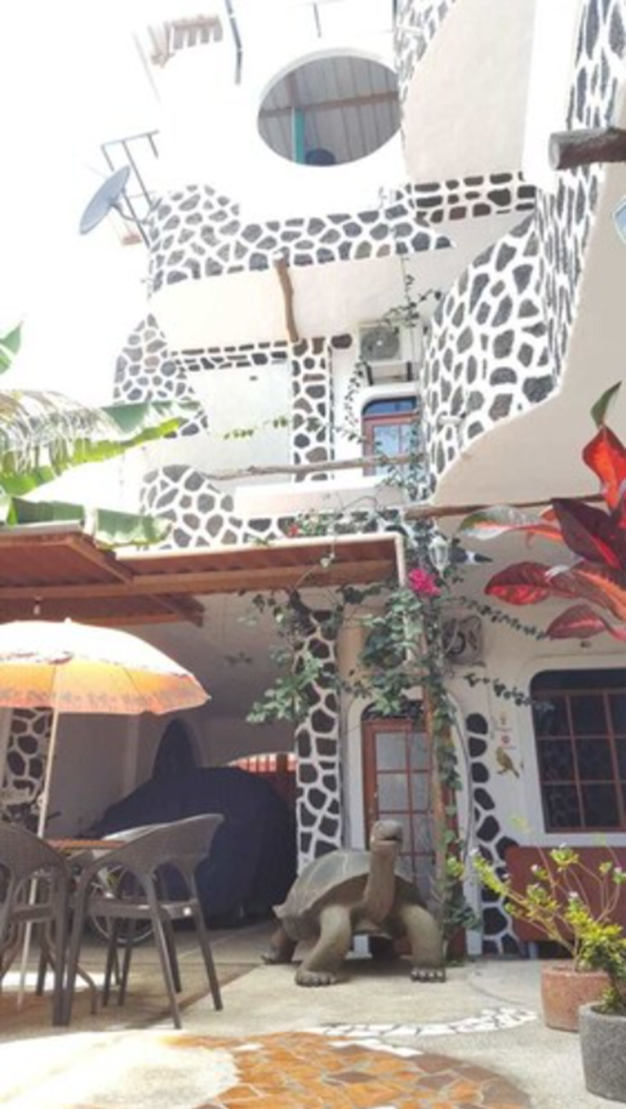 standard double room, 1 king bed | view from room