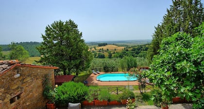 Uccellaia