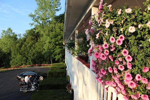 A building with a balcony covered in pink flowers, a paved driveway, and a car parked in the background. - Chatham Travel Lodge (Old Chatham)