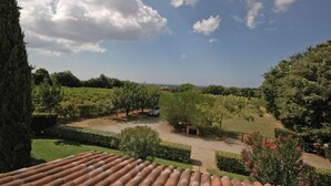 Un vignoble avec des rangées de vignes, un ciel dégagé et un toit en tuiles au premier plan.
