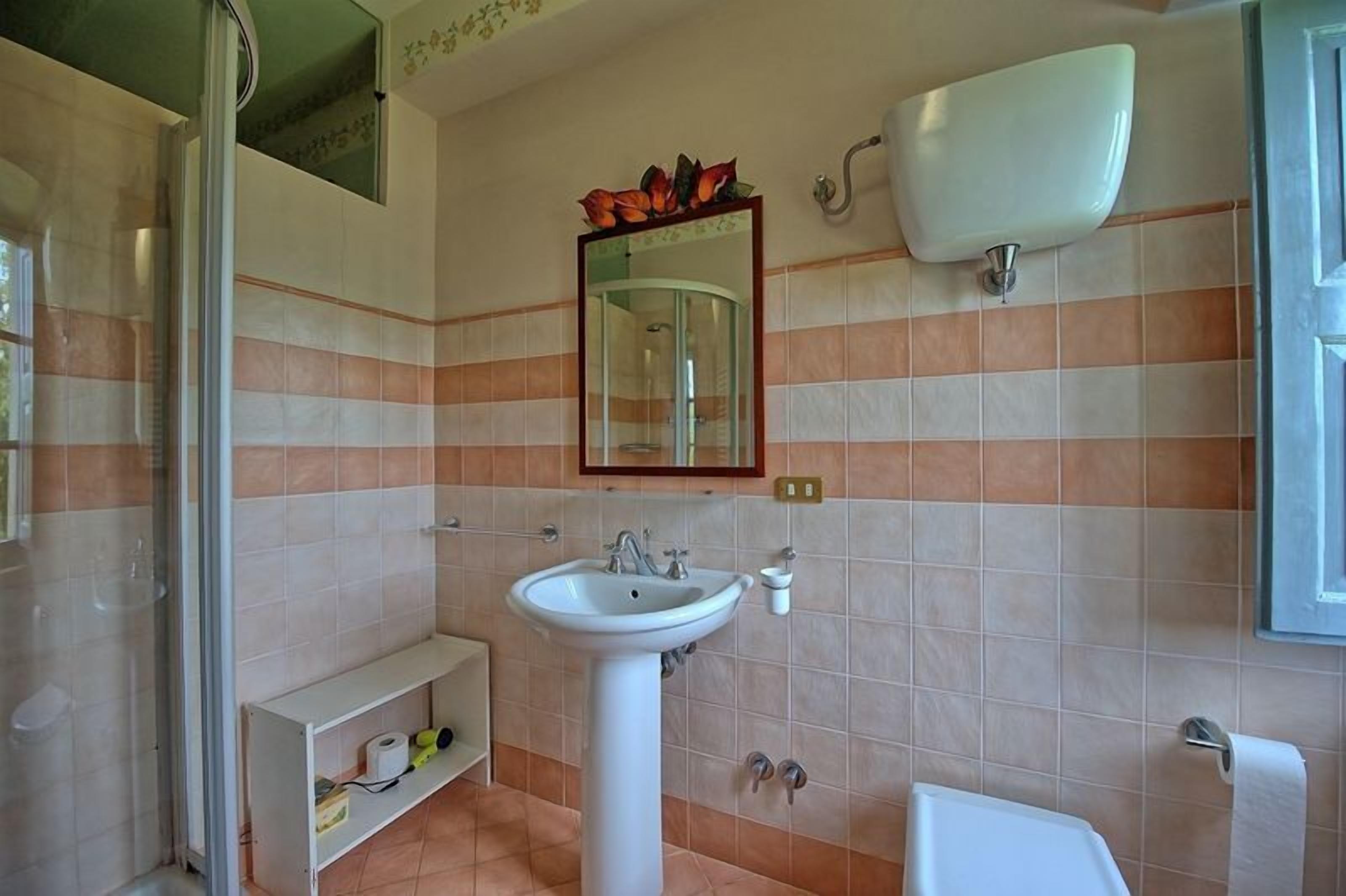 Een badkamer met een wastafel, spiegel en douche.