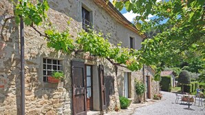 A stone building with a rustic charm, featuring a gravel driveway and potted plants. - Borgo Del Castagno (Cortona)