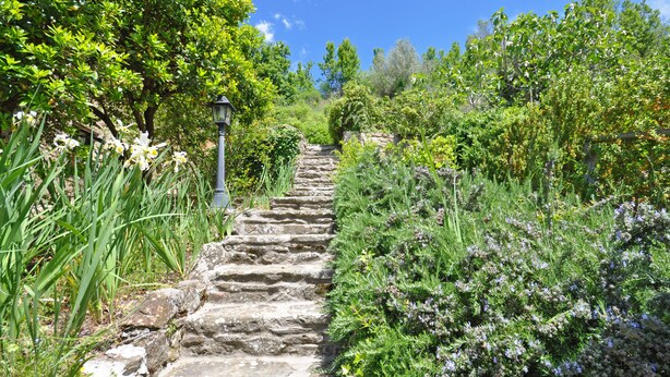 A stone staircase surrounded by lush greenery and flowering plants. - Borgo Del Castagno (Cortona)