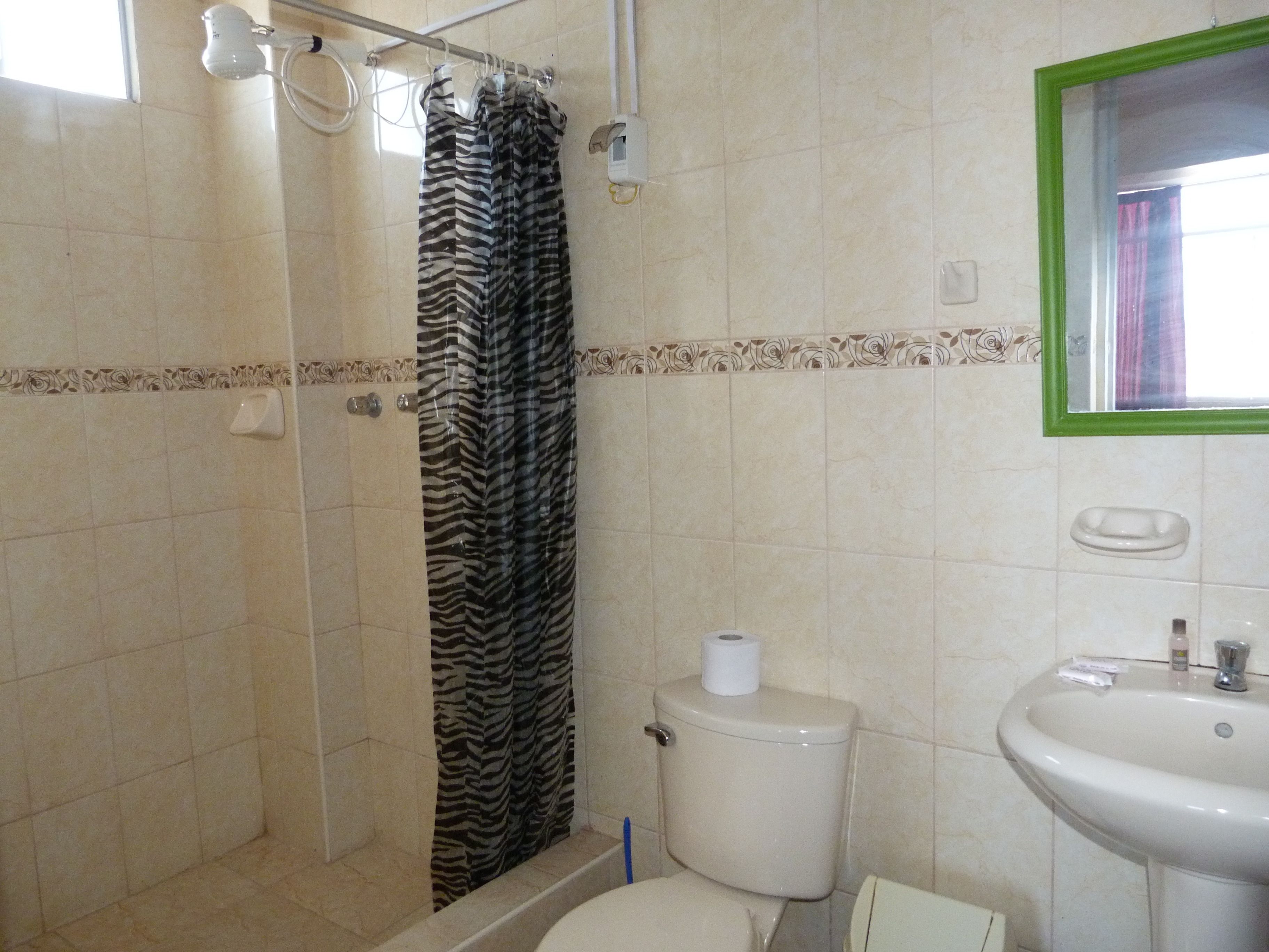 A bathroom with a zebra-striped shower curtain, a toilet, and a sink with a mirror above it.