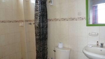 A bathroom with a zebra-striped shower curtain, a toilet, and a sink with a mirror above it.