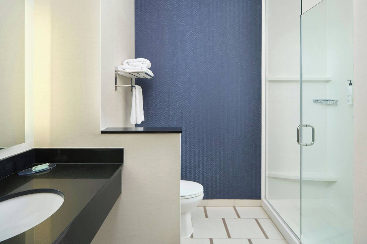 combined shower/bathtub, free toiletries, hair dryer, towels