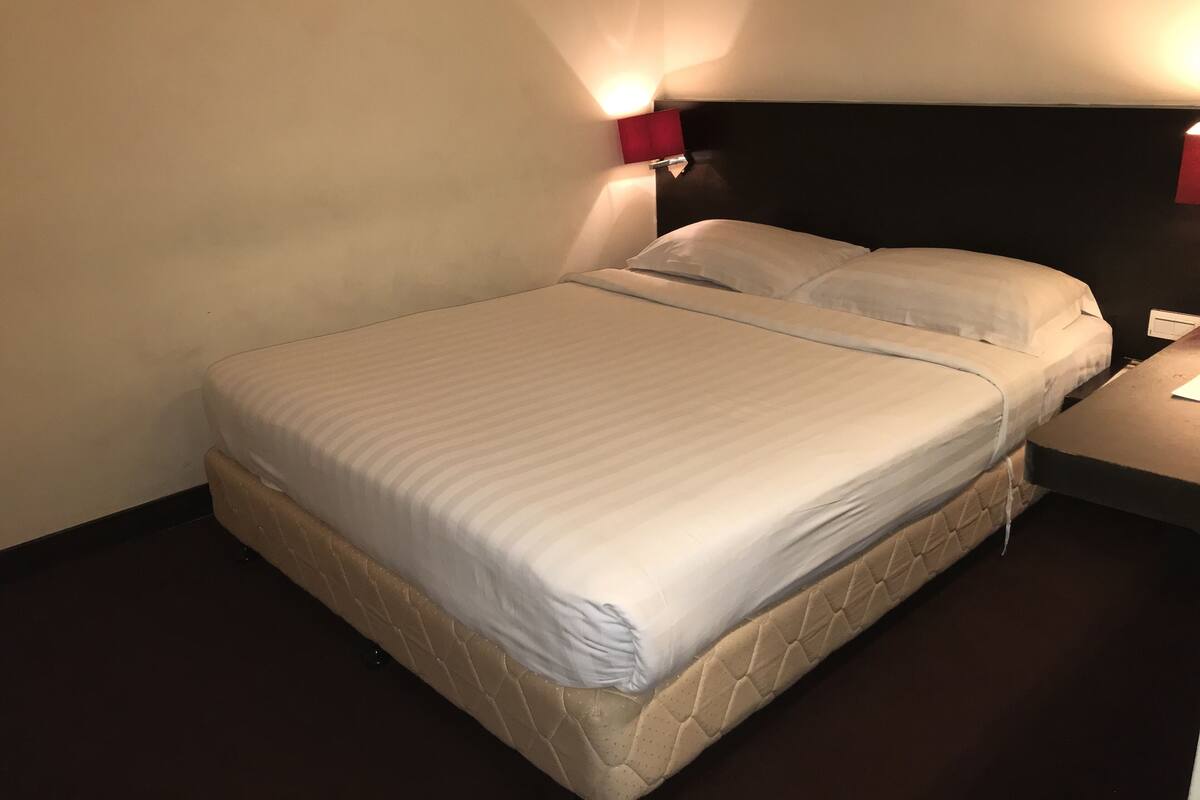 Minibar, desk, iron/ironing board (on request), free WiFi
