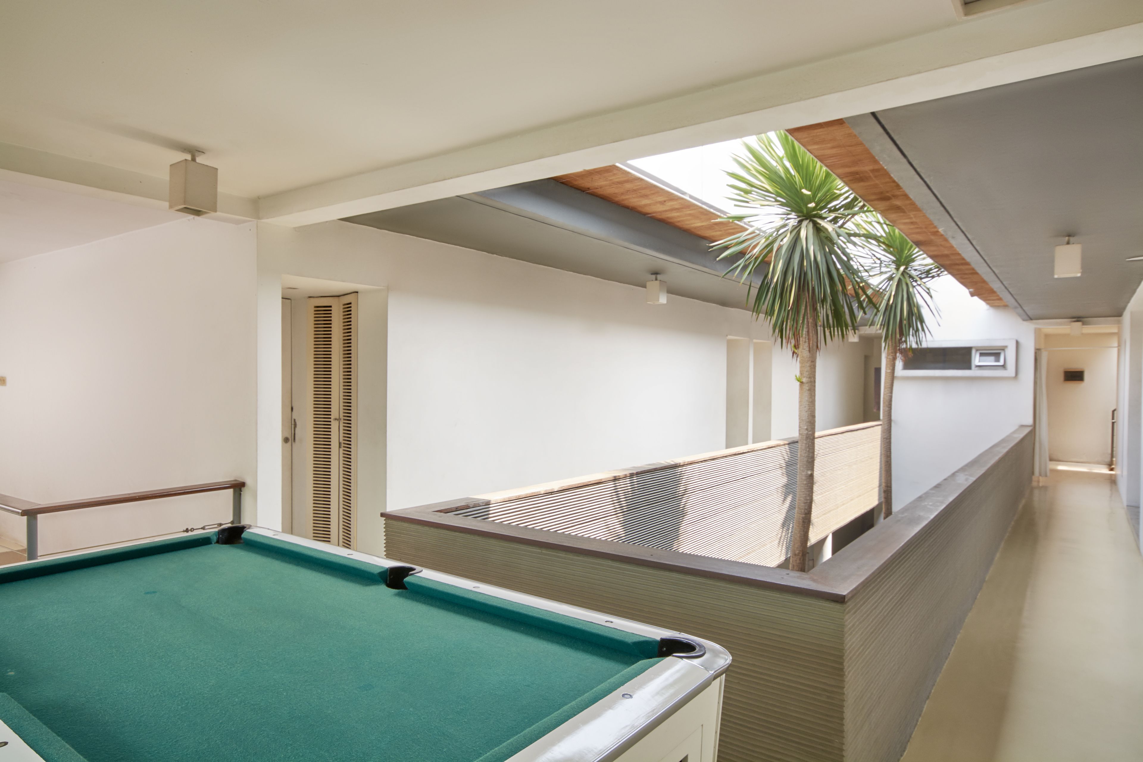 A pool table in a hallway with a view of a palm tree and a door.