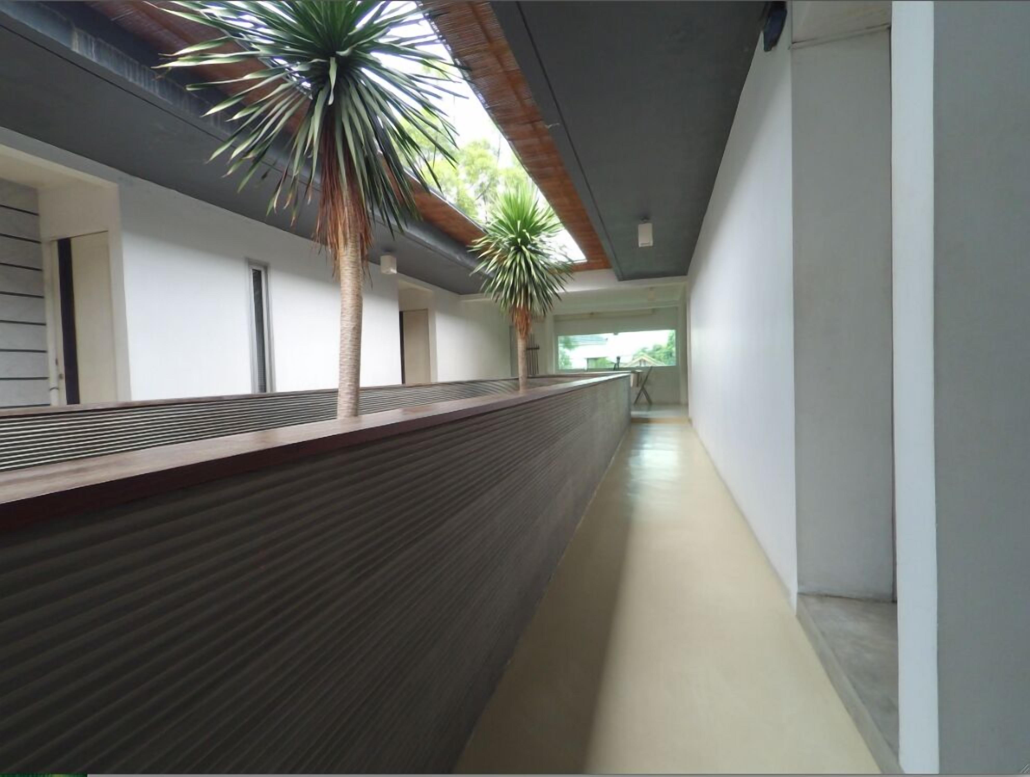 A modern hallway with a wooden bench, two palm trees, and a view of the outdoors.