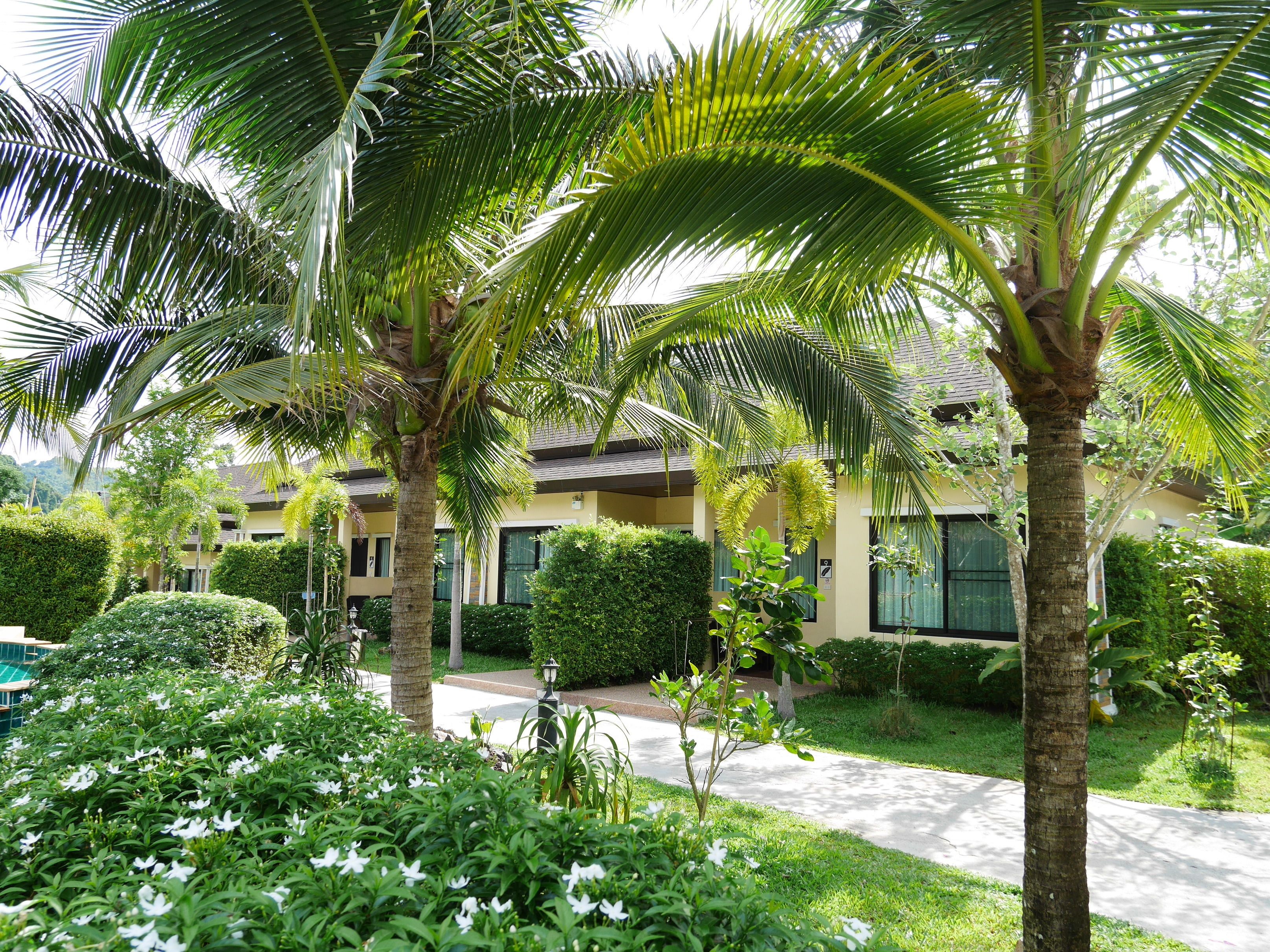 Servicio de la propiedad