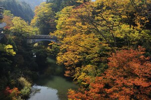 Un puente japonés tradicional sobre un río, rodeado de follaje otoñal.