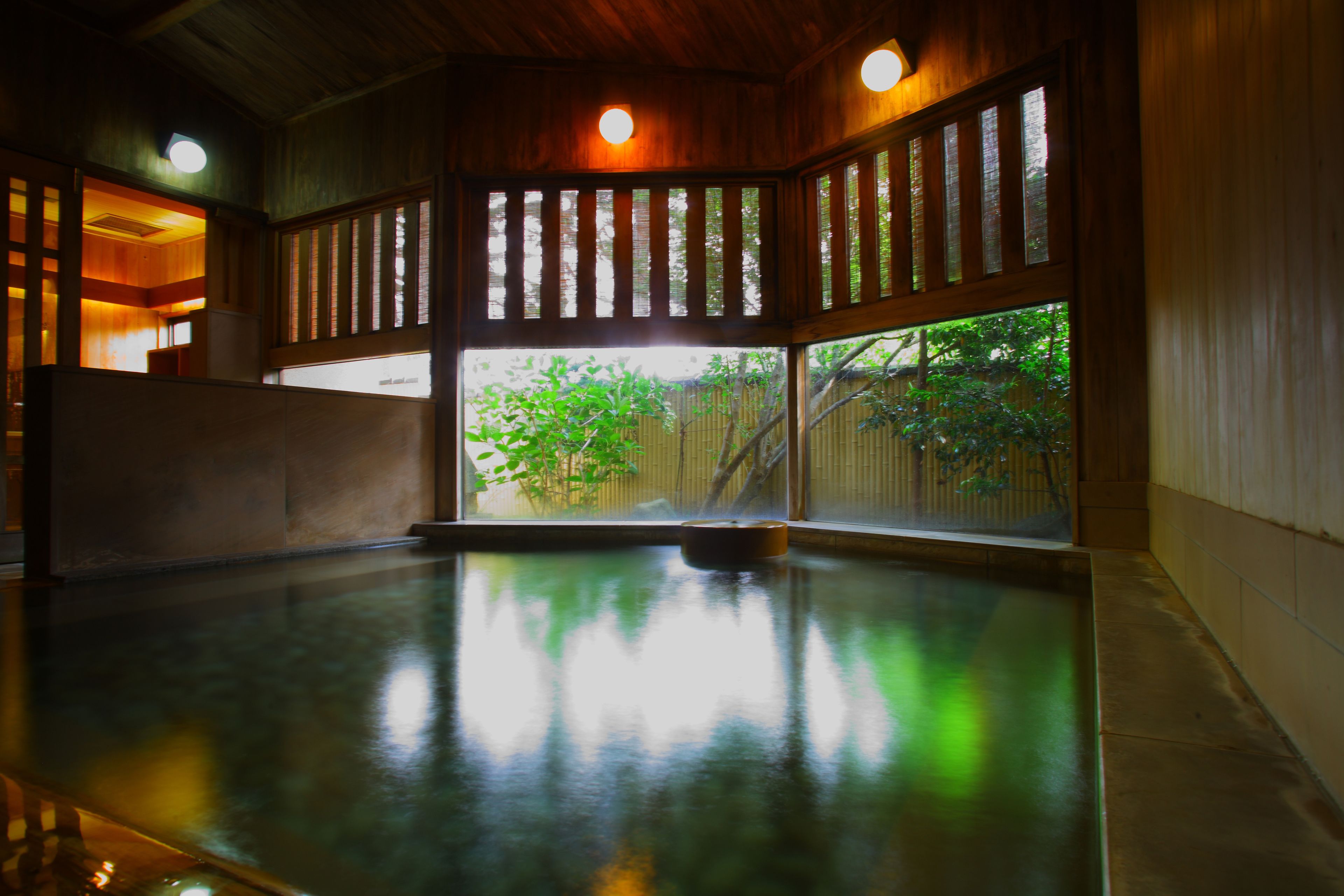 A room with a wooden floor, a potted plant, and a window with a view of greenery outside.