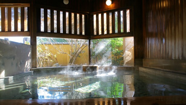 A hot spring bath with wooden partitions and a view of a tree outside. - Fujiya Ryokan (Kaga)