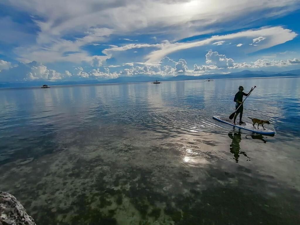 A person paddleboarding on calm water with a dog, under a partly cloudy sky.