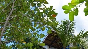 A tropical garden with stone pathways, lush greenery, and a thatched-roof building. - The Blue Orchid Resort (Moalboal)