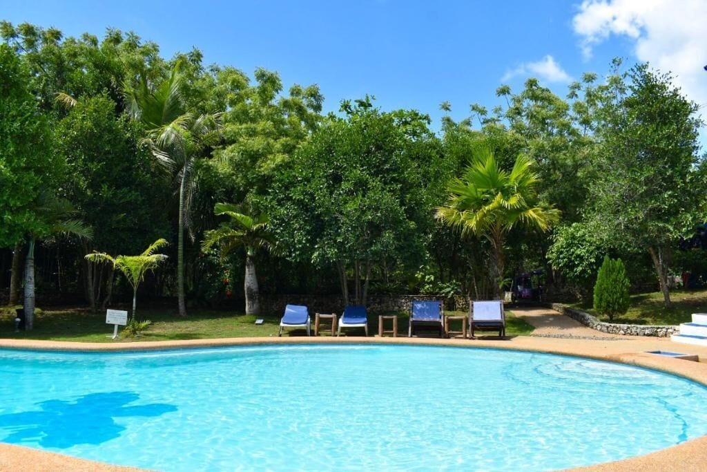 A swimming pool surrounded by lush greenery and palm trees.