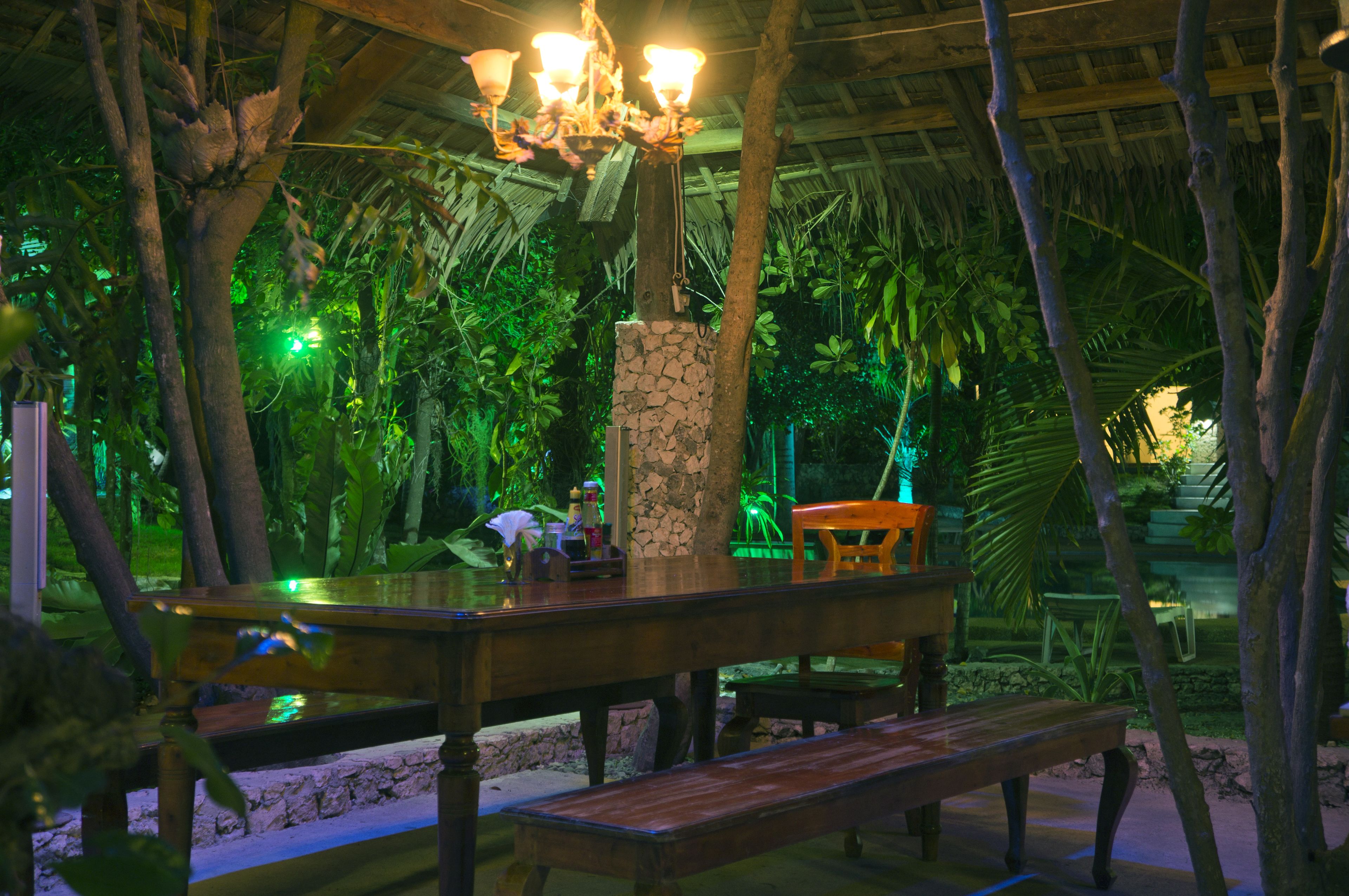 Un área de comedor al aire libre con mesas y bancos de madera, rodeada de exuberante vegetación tropical y una estructura de techo de paja.