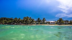 Una playa con aguas turquesas cristalinas, palmeras y casas de playa.