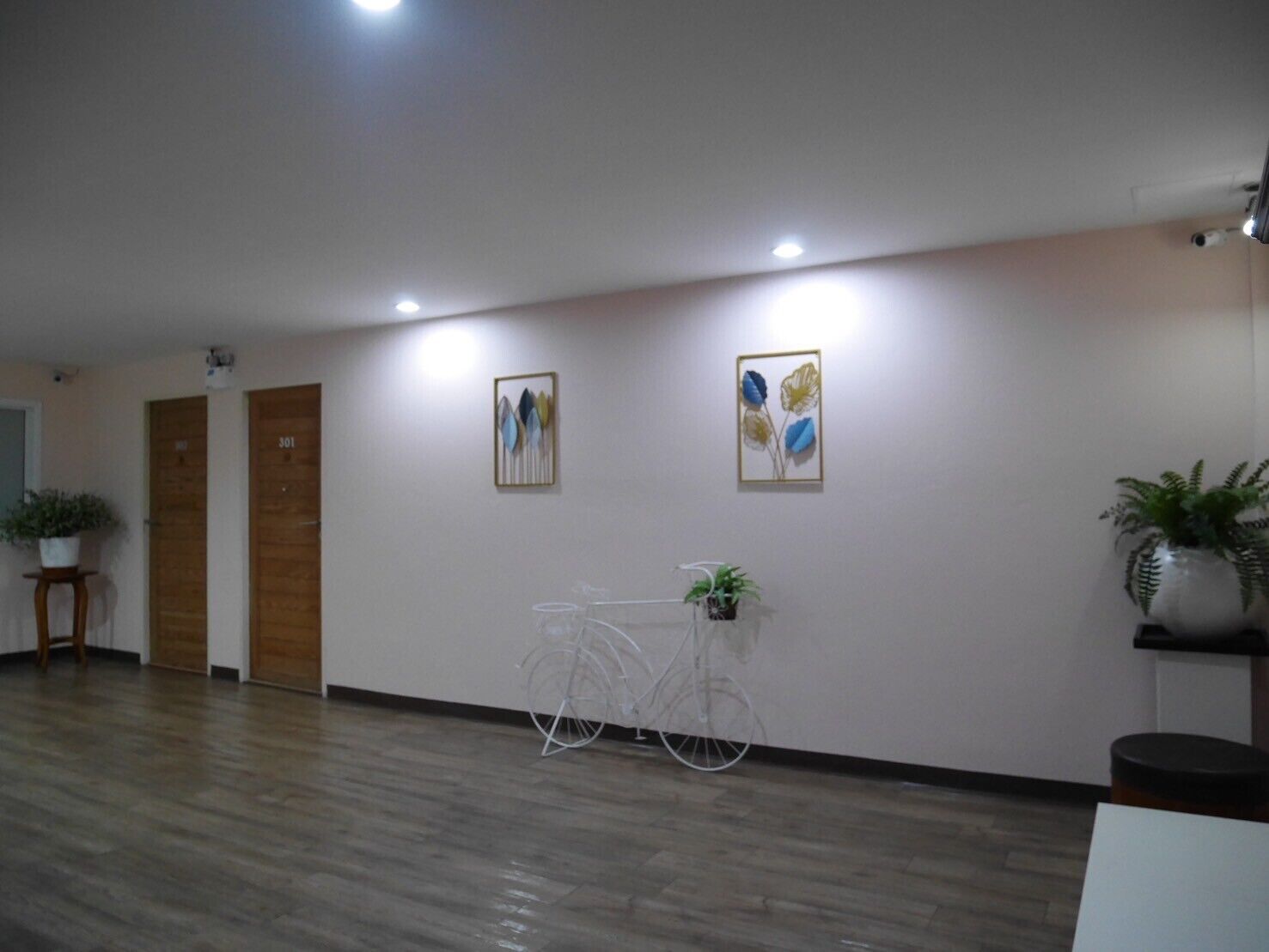 A hallway with wooden flooring, two doors, and two wall-mounted artworks.
