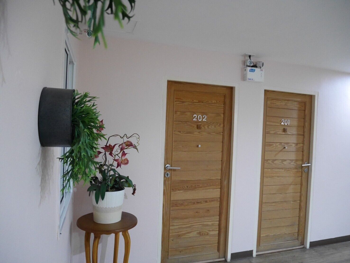 A hallway with two wooden doors labeled 202 and 201, a potted plant on a small table, and a security camera on the wall.