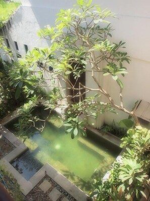 Hồ bơi ngoài trời