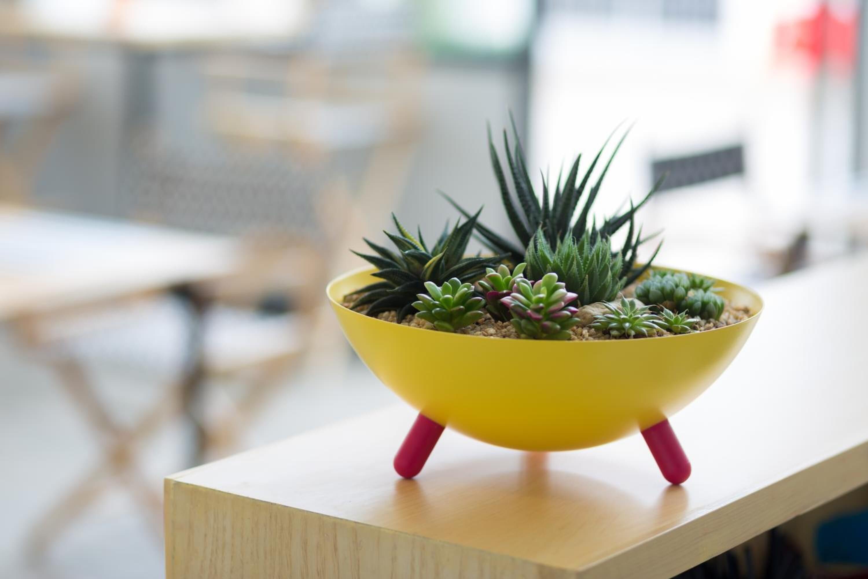 breakfast and lunch served, thai cuisine