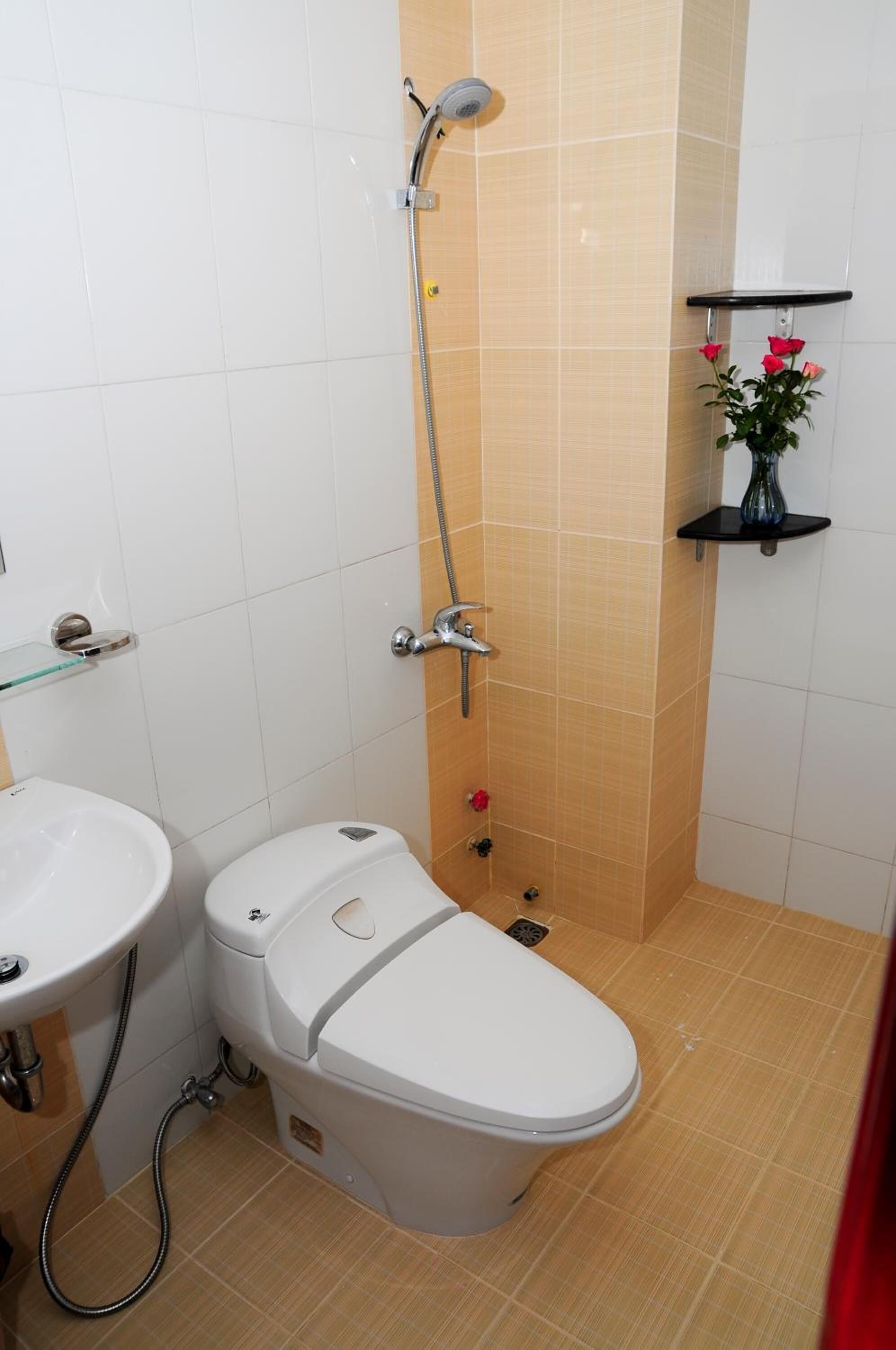 shower, free toiletries, hair dryer, slippers