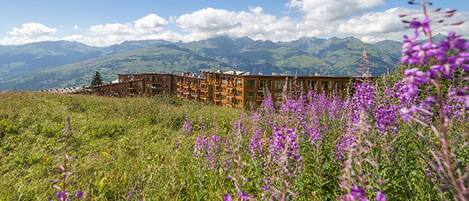 A building with a wooden facade and multiple windows, surrounded by a field of purple flowers and mountains in the background.