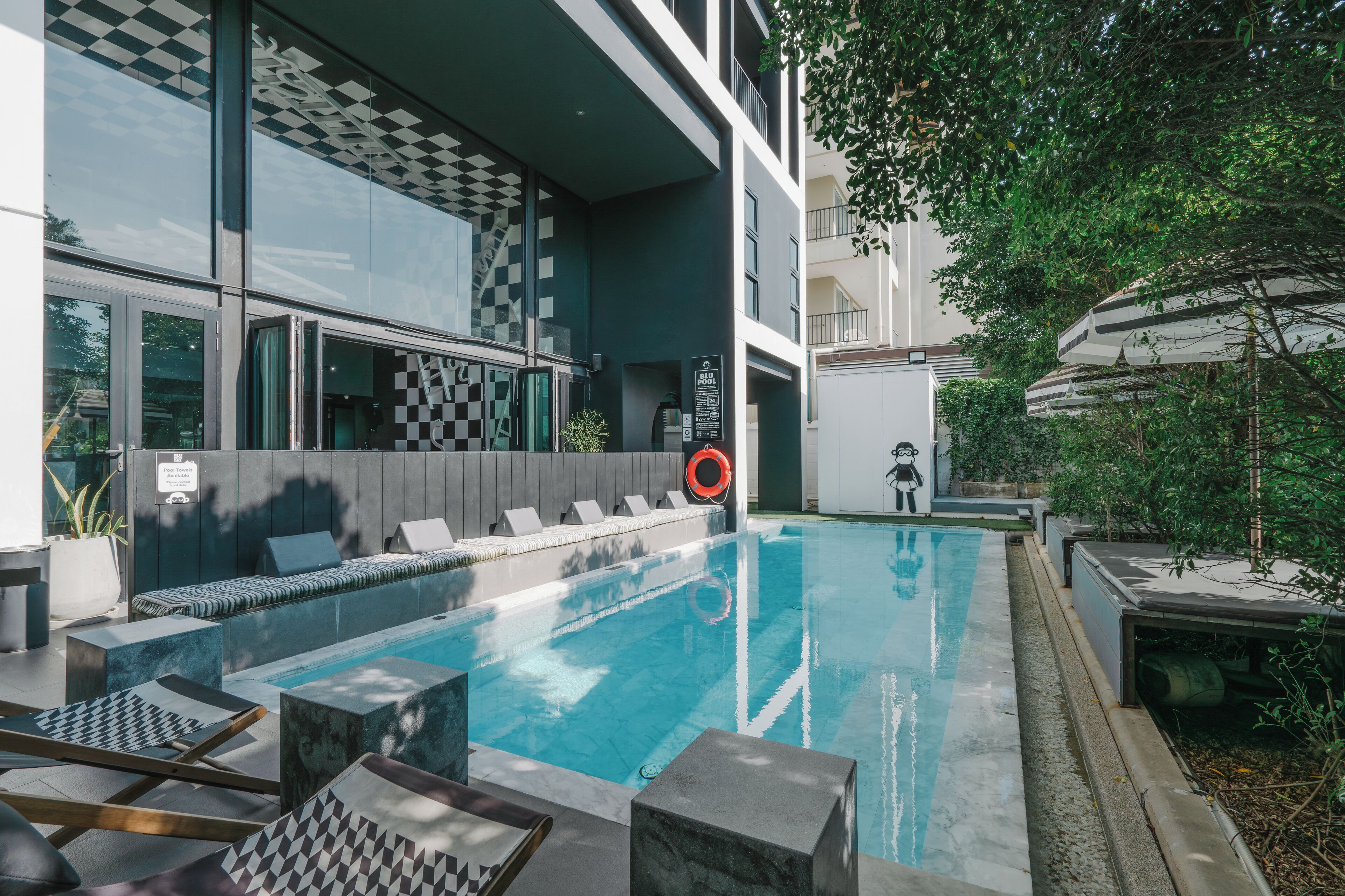 Outdoor pool, sun loungers