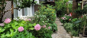 Canada Hotel & Bungalows