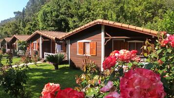 Bungalow | Vista al jardín