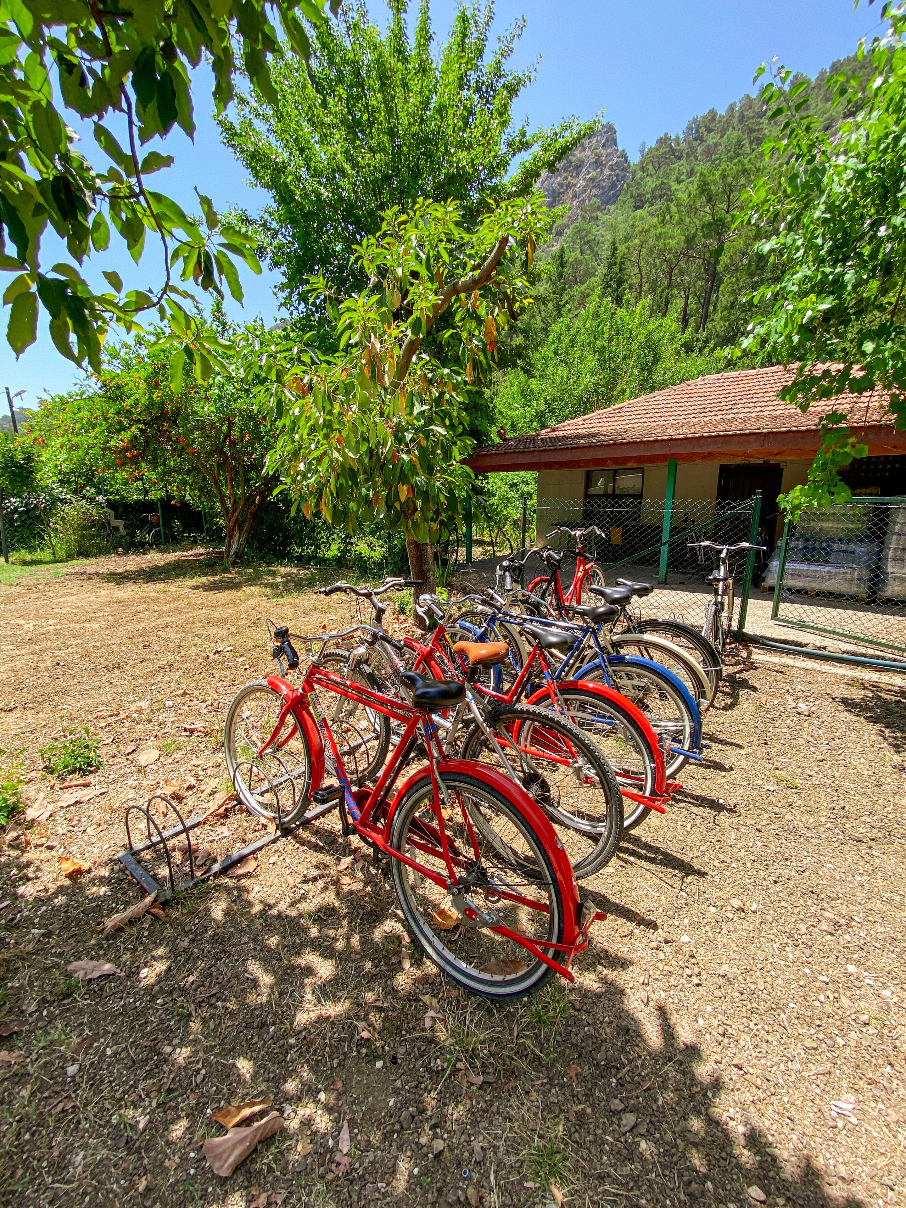 Bicycles parked in an outdoor area with a building in the background.