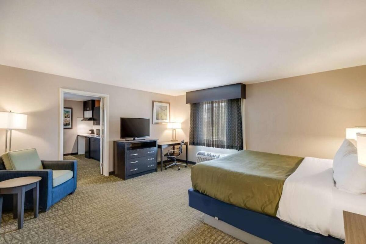 Une chambre d’hôtel équipée d’un lit, d’un bureau, d’une chaise, d’une télévision et d’une fenêtre avec des rideaux.