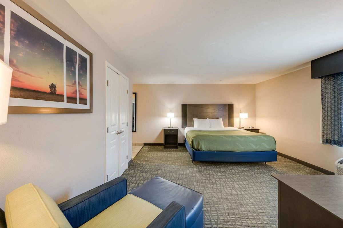 suite, 1 king bed with sofa bed, accessible, non smoking | egyptian cotton sheets, premium bedding, desk, laptop workspace