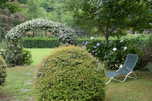 A garden with a lawn, a hedge, and a chair.