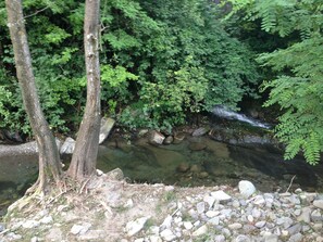 A natural landscape with a clear stream, rocks, and dense green foliage. - Podere Campofossato (Pistoia)