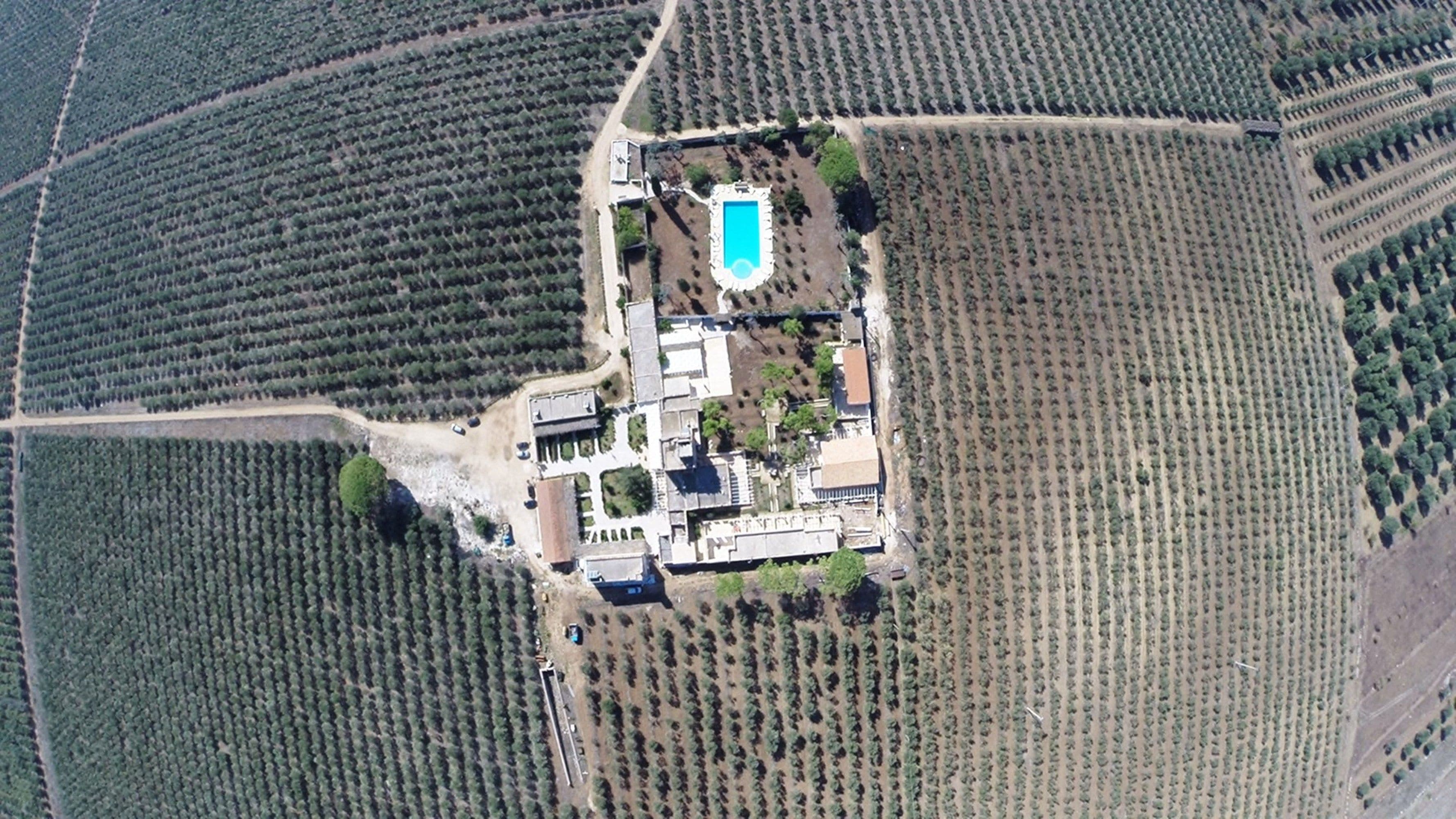 Ett flygbildsfoto av en fastighet med en swimmingpool, flera byggnader och omgivande åkrar.