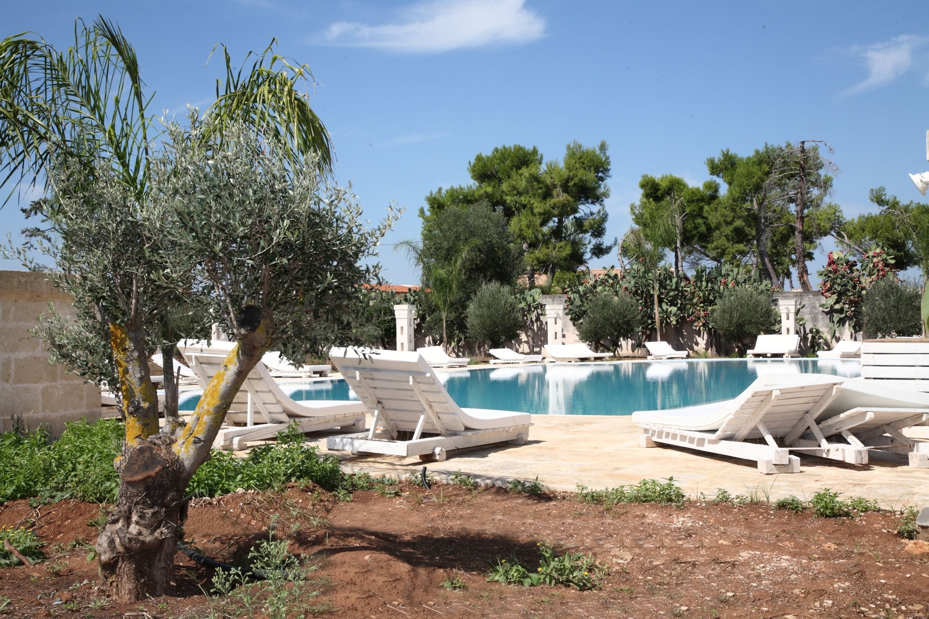 A pool area with lounge chairs and a clear blue pool.