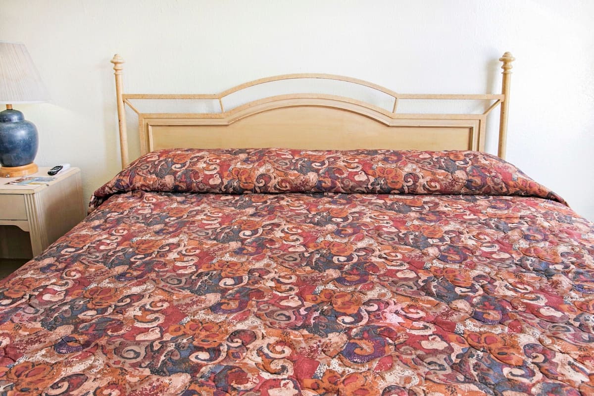Room, 1 King Bed