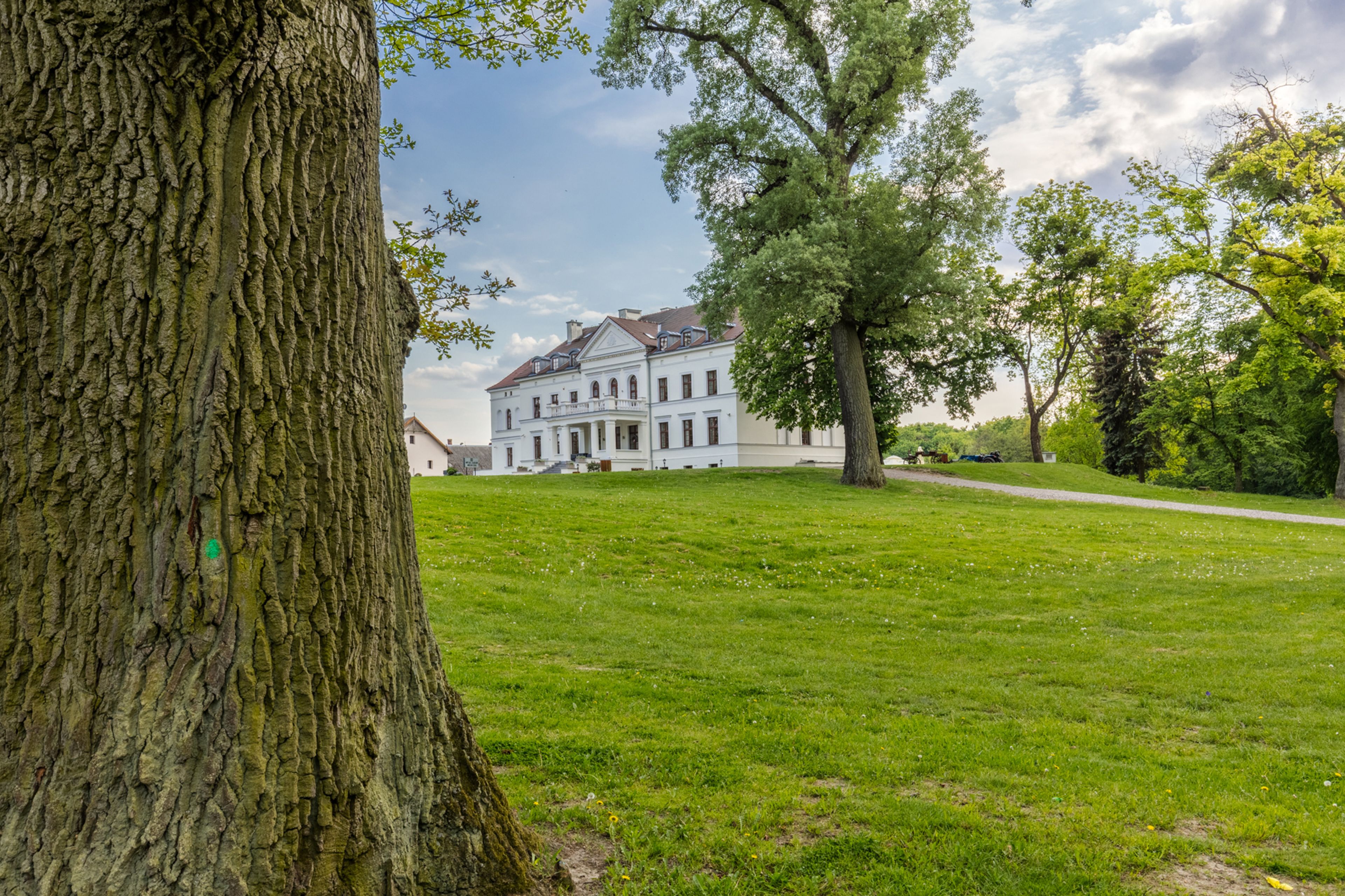 A large, historic building with a symmetrical facade and a central entrance, surrounded by a well-maintained lawn and mature trees.
