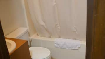 Combined shower/tub, free toiletries, hair dryer, towels