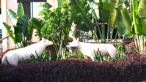 Front of property - Great Wolf Hotel (Entebbe)