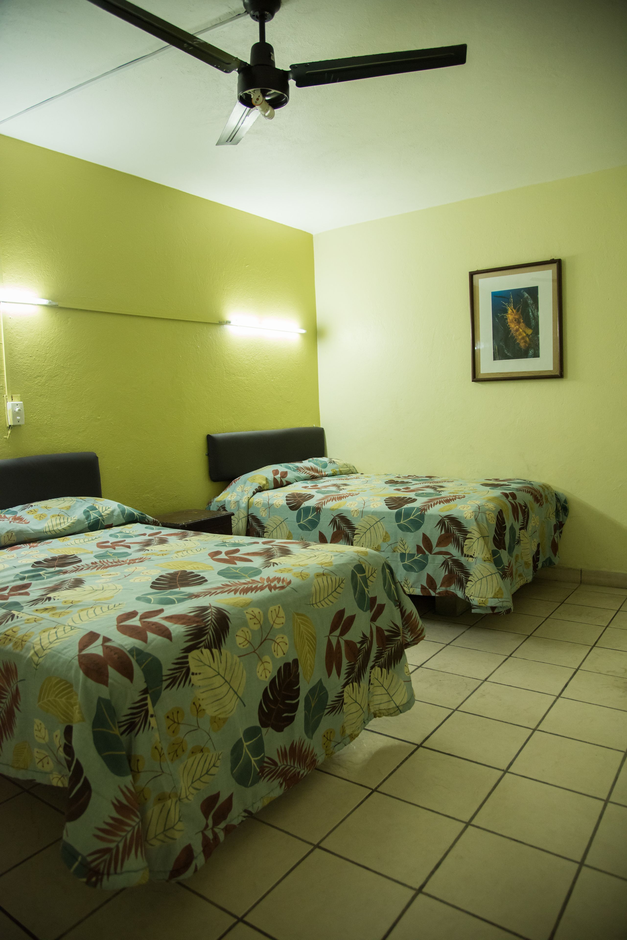 Ferro/asse da stiro, Wi-Fi gratuito, lenzuola