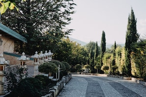 Vista del jardí