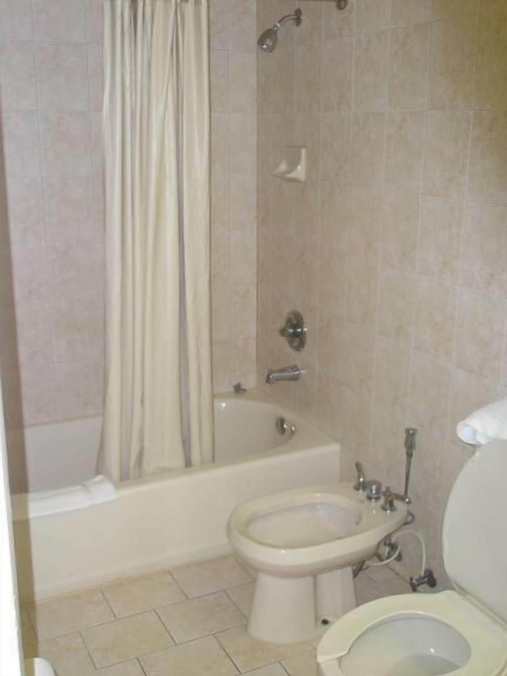 Foto - Miami Princess Hotel